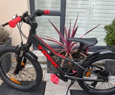 Trek Bike Kids