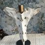 1 Bone Spooky Witch Halloween candle stick holders decoration Image 8
