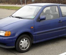 6n polo