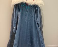 elsa dress