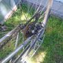 bike Image 4