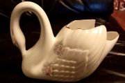 Royal Tara Swan