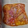 The Encyclopedia Of Machine Embroidery By Val Holmes. Large Volume Paperback Book In Very Good Condition. Image 10