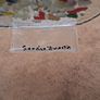 Sandra Duarte Signed Glass Ornament Image 5