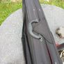 violin case Image 4