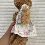 Powell Craft Plush Teddy Bear in Unicorn Dress and Baby Bear approx. 33 cm. used Please see pictures Image 3