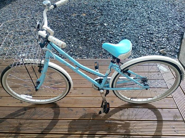 lady's bike