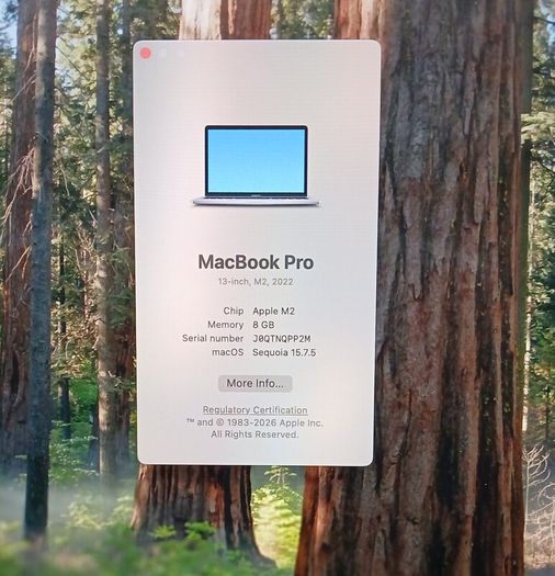 Apple Macbook Pro 2022 M2 | 13.3" | Touch Bar M2 8-core Cpu | 10-core Gpu | 8 Gb | 256 Gb Ssd | Space Gray |  Maximum Capacity : 91%