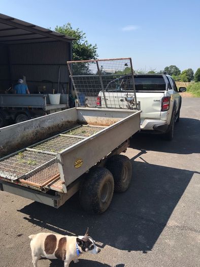 Tipping Trailer