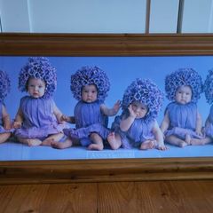 Anne Geddes Picture