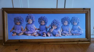 Anne Geddes Picture