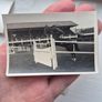 Royal Dublin Horse Show Image 6