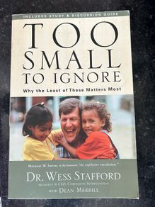 Too Small To Ignore Book