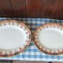 Arklow Pottery Alton Range 812.   22 Pieces Image 3