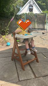 hauck high chair