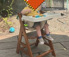 hauck high chair