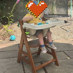 hauck high chair
