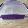Sistema Lunch box Image 2