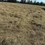 Haylage Image 2