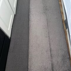 Free - plush rug