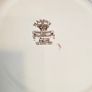 Mason's Ironstone  "Princess" Pattern Diner Plate Image 8