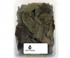 Maple leaves 1000ml