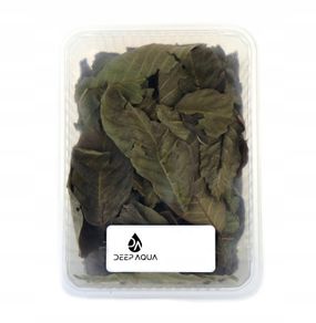 Maple leaves 1000ml