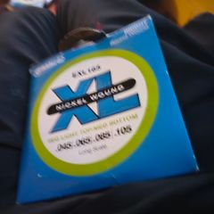 D addario exl 165( long scale)