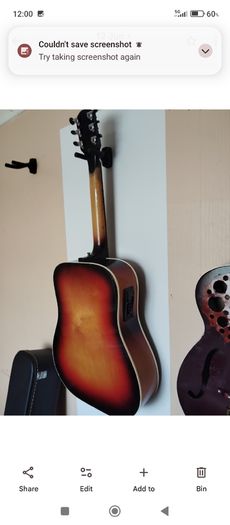 DIGIORGIO semi acoustic guitar