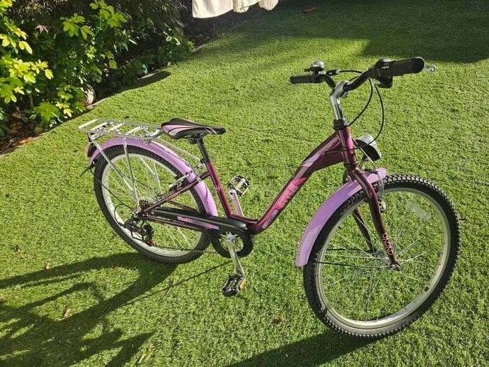 Girls bike 24"