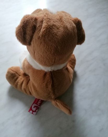 Soft Dog Plush