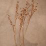 Four Gold & Gitter Ball  Branches Image 2