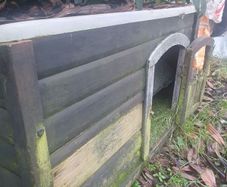 kennel