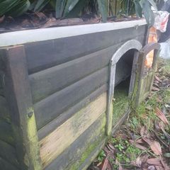 kennel
