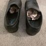 Blaq Black Mens shoes Image 4