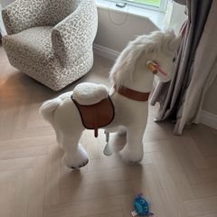 ponycycle