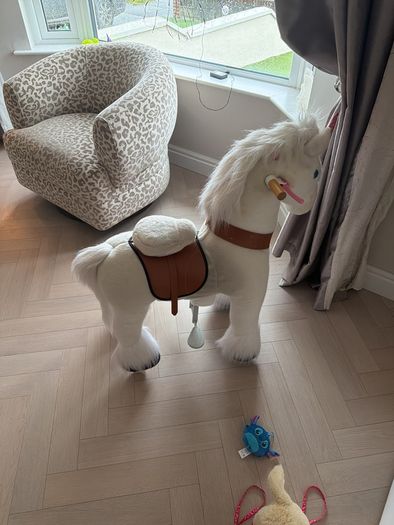 ponycycle