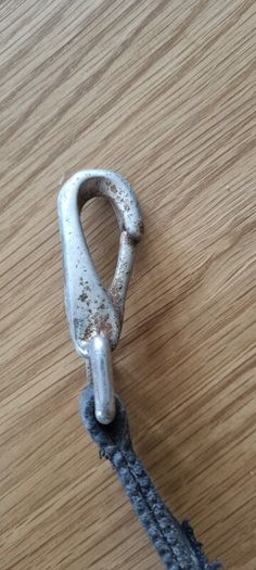 Cotton Web Running Reins