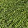 Hay and Haylage Image 3
