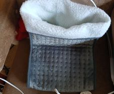 Electric foot warmer