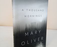 A Thousand Mornings by Mary Oliver (PT05)