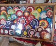 Wall Display Cabinet Dog Rosettes