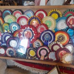 Wall Display Cabinet Dog Rosettes