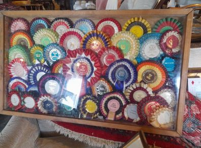 Wall Display Cabinet Dog Rosettes