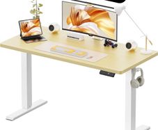 120 x 60 cm Standing Desk, Electric Height Adjustable Desk with 2 Hooks