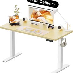 120 x 60 cm Standing Desk, Electric Height Adjustable Desk with 2 Hooks