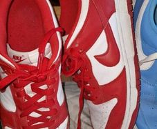 Trainers