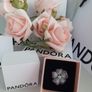 new genuine pandora pendant/brooch Image 3