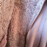 Jacket Image 4