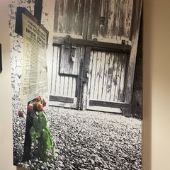 Irish picture